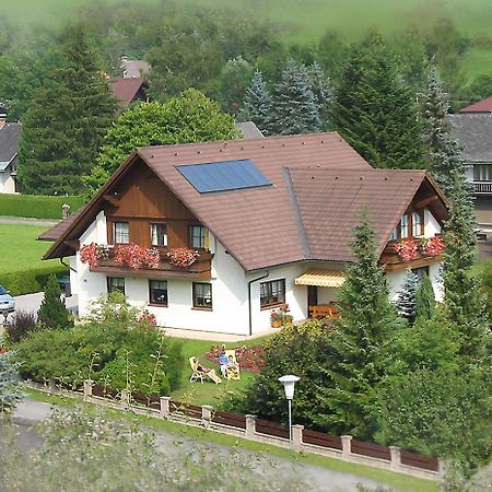 شقة Haus Lechthaler Aflenz Kurort المظهر الخارجي الصورة